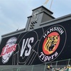 連夜の応援📣　甲子園、交流戦！