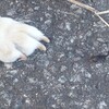 今日は高校生と…