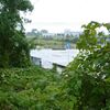 ある雨の日の情景・・・