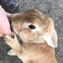 10月うさぎの部屋