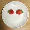 農産物の故事・ことわざスイング　ブリ