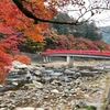 紅葉の名所 豊田市足助の香嵐渓へ