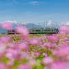 レンゲ畑とあいの風と立山連峰