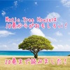 【Magic Tree House】は10巻からが面白い！20巻まで読んだ私が面白さとレベル、あらすじを解説します！