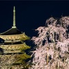 京都　東寺のライトアップ