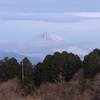 今朝の景色