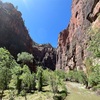 アメリカ西部横断記 Jun'23-4 Zion National Park　きれいな風景に落とし穴