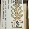 「金のなる木」の施印が、ロートの広告に使われていた！
