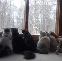 eye7iのあちこちブログ