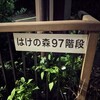 武蔵野公園近くの「はけの森９７階段」に行ってみた。（小金井市東町）