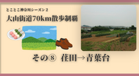 【大山街道70km散歩制覇】その⑧ 荏田→青葉台