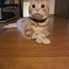 エアコン。