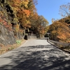 日光国立公園を一周するライド「にこいち」で紅葉狩りを楽しむ