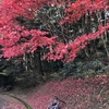 牧山ポタリング　紅葉と落葉