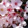  わくわくワーキング ８ 