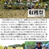 2023年10月13日 収穫祭（稲刈りからの芋掘り）
