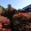 まさに今年最後の紅葉