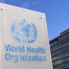 WHO加盟国がパンデミック条約案に合意！法的拘束力と日本への影響は？