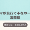 育児日記　生後6.5か月　ママが旅行で不在の一日　パパの激闘録