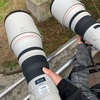 Canon 600mm f4L is ii USM レビュー 作例 a9との相性