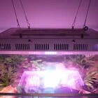 元植物研究屋の異常な熱帯魚水槽照明選び または私は如何にしてメタルハライドランプをやめて高出力ledを愛するようになったか 工作blog