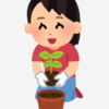 植物さんと虫さん