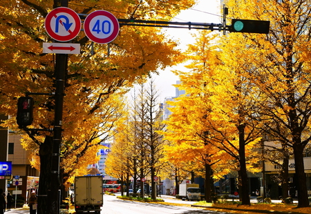 転勤族に育った私が唯一「故郷」と呼べる仙台へ。消えた景色のなかに、子どもの頃の自分を探しに行く｜文・白央篤司