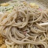 【日本橋浜町】小諸そば 浜町店：茹でたてをしっかり〆て食べる冷やしたぬきは最高だ！