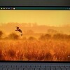 Bing Wallpaper
