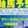 新潟記念2022競馬予想最終結論｜サマー2000シリーズ最終戦で活躍する馬はコレ！