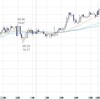 FX　米ドル　東京時間の米ドルの見通し