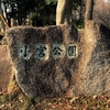 小宮公園のエノキの根元