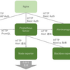 ざっくり理解するPrometheusを使った監視システム #1