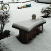 初雪　　その２
