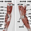 肘の過密組織が癒着が進んだとすると・・・