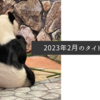 2023年2月のタイトル画像