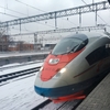 【モスクワーサンクトペテルブルク間の移動】ロシア版新幹線サプサンの予約方法・値段・乗り方について解説