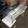 ランキング１位＆まだまだ買取させていただいております＆入荷速報【ペットバルーン・大阪・ADA・中古・買取】