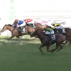 ４月２６日（日）　勝負・注目レース結果　ーワイド2100円的中