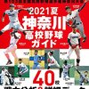 神奈川高校野球　社会不適合底辺労働者の私的な展望