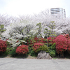 景観、体験、知識、水遊び、遊具、電車…いろいろ楽しめる飛鳥山公園