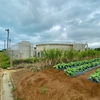 来間島ファームポンド（沖縄県宮古島）