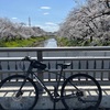 【TREK FX3】桜が満開なので、自転車で花見に出かけてきた話