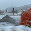 初雪...？か知らんけど冬の景色がやってきた
