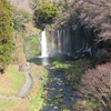 富士山ウオーク・２