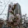 2013年4月の定休日