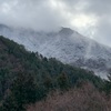 起きたら雪が…