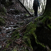 初春終わる加持ヶ峰遊山　鷦鷯