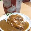 瀬戸の手羽先・八丁味噌カレー