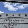 京都水族館　2025.3